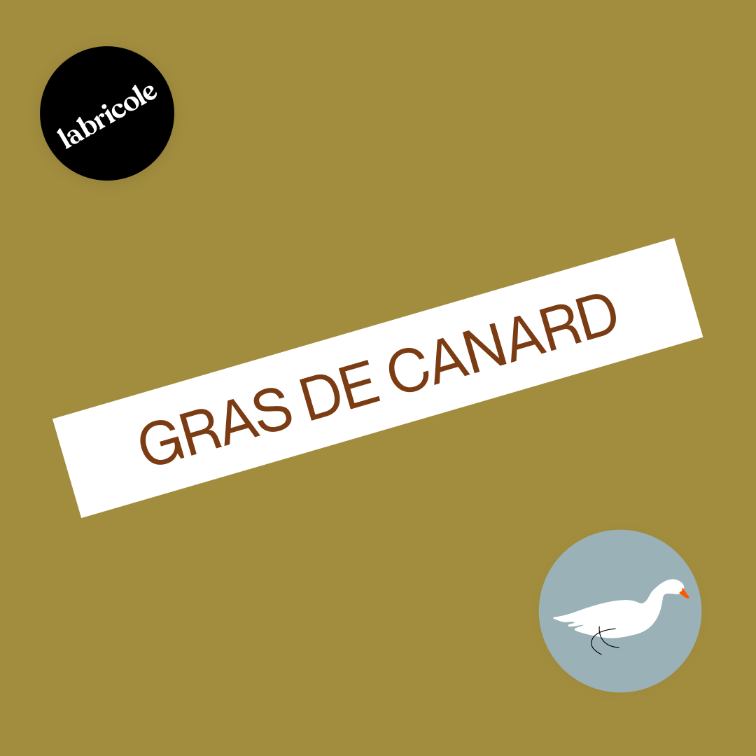 Gras de canard